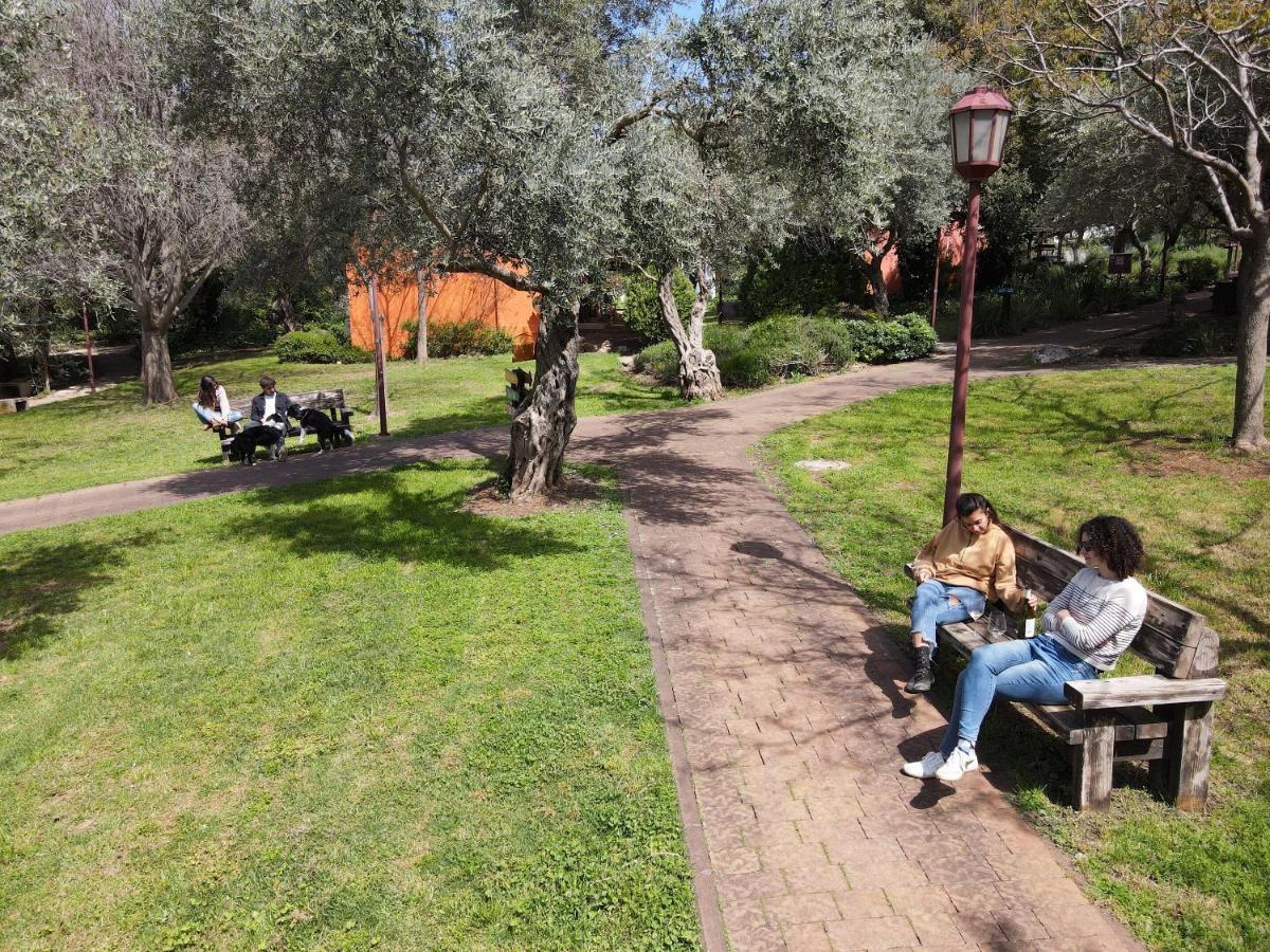 Parod Country Lodge Esterno foto
